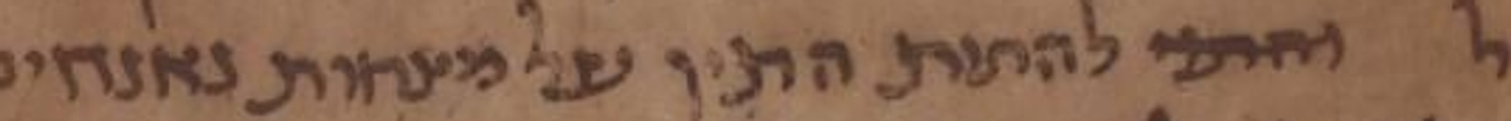 T-S 16.311, CUDL image 1, line 12: the disputed detail enlarged 4×