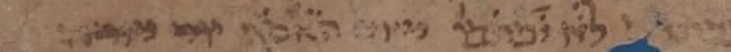 T-S 16.311, CUDL image 1, line 35: detail of the disputed reading